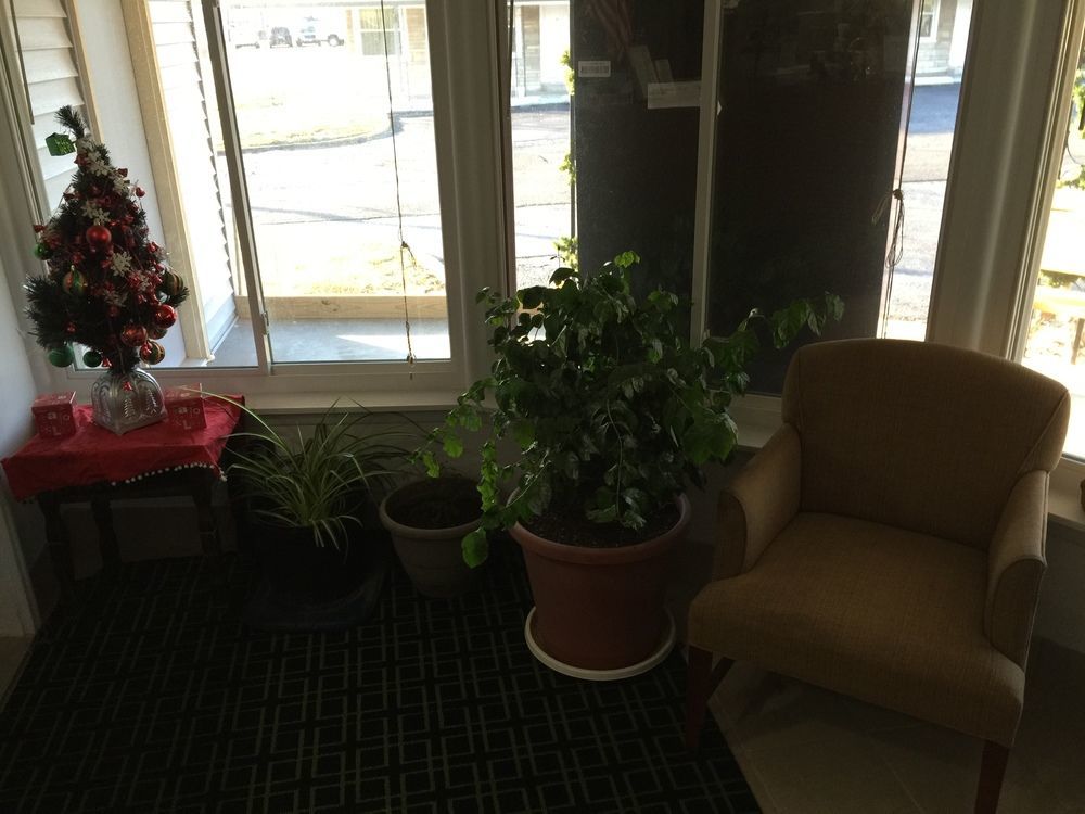Cooper Motel Tuscola Εξωτερικό φωτογραφία